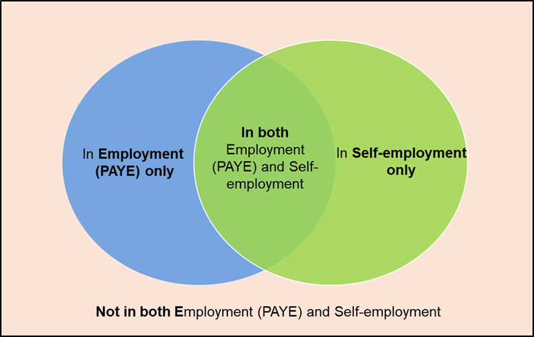 A venn diagram showing the combinations of employment status
